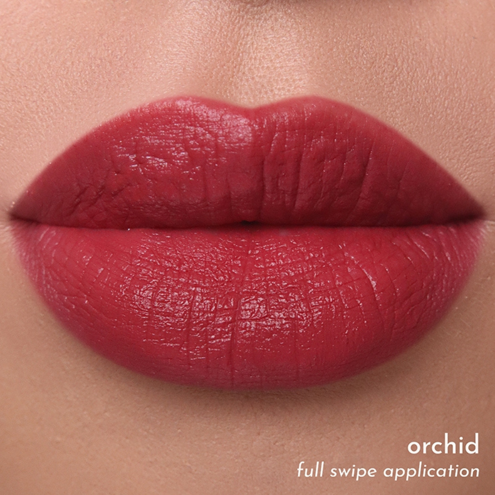 Absidy Beauty Cashmere Kiss Matte Lipstick Heart Evangelista Swatches Lips Arm Swatches Orchid