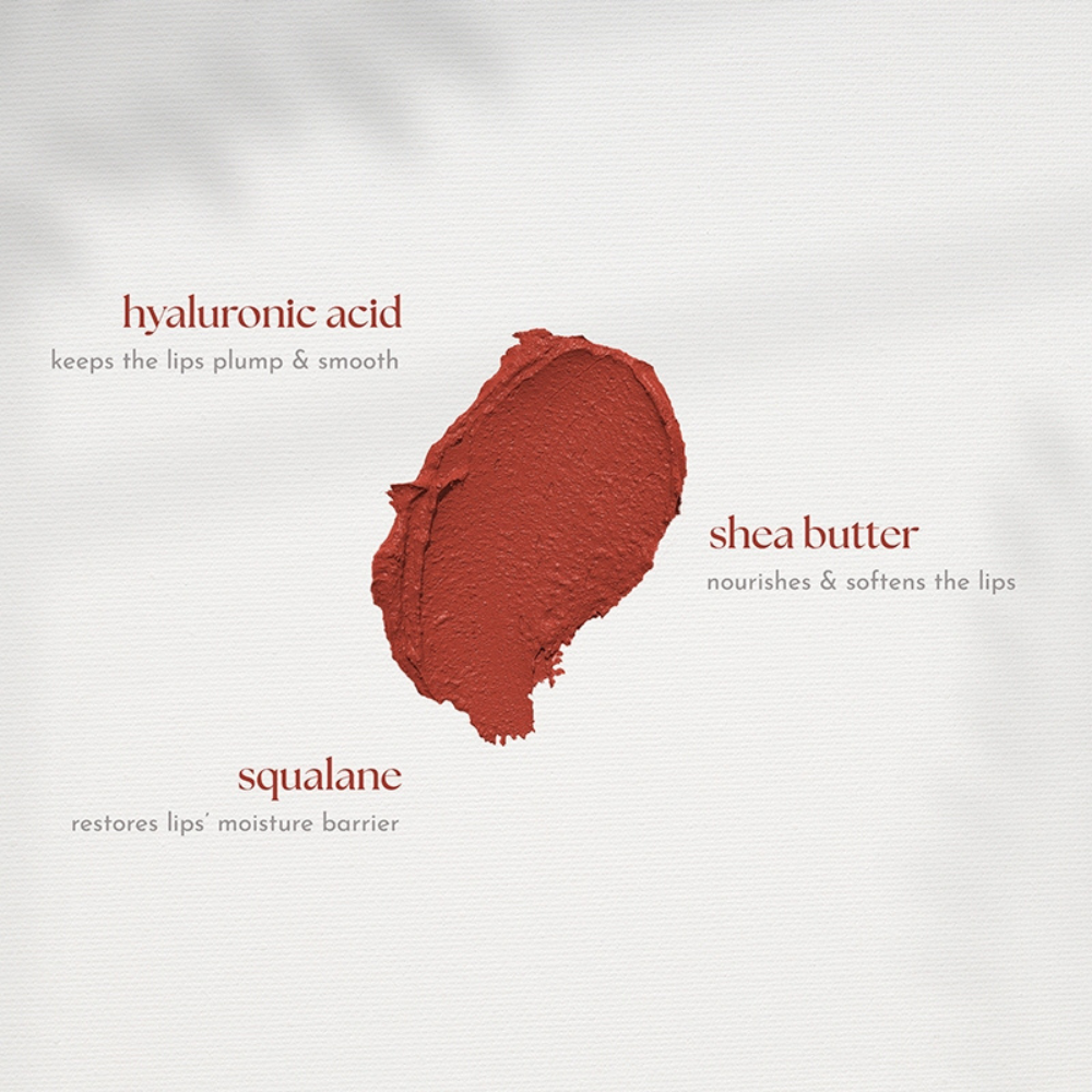 Absidy Beauty Cashmere Kiss Matte Lipstick Heart Evangelista Swatches Lips Arm Swatches Paris