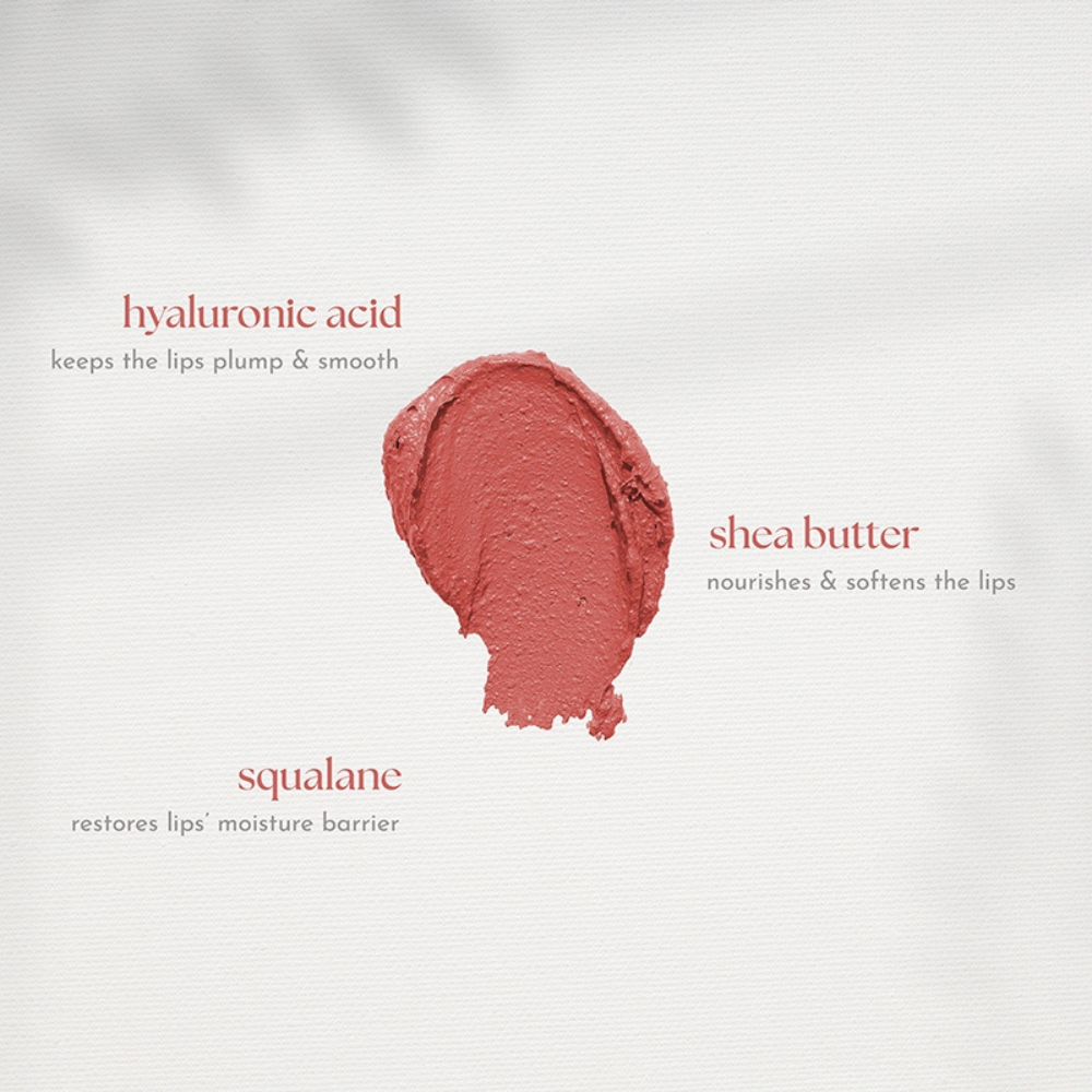 Absidy Beauty Cashmere Kiss Matte Lipstick Heart Evangelista Swatches Lips Arm Swatches Pink skies