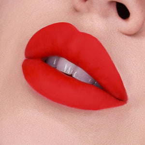 Vice Cosmetics Phenomenal Velvet Liquid Lip Kit - Getlavu model