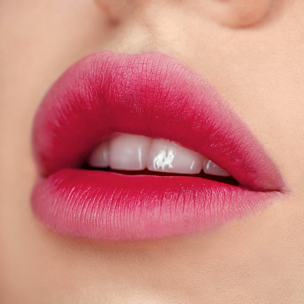 Vice Cosmetics Water Gel Lip & Cheek Tint - Paberjin Ombre Model