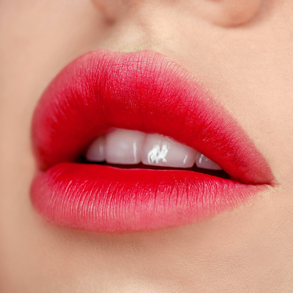 Vice Cosmetics Water Gel Lip & Cheek Tint - Sisterette Ombre Model