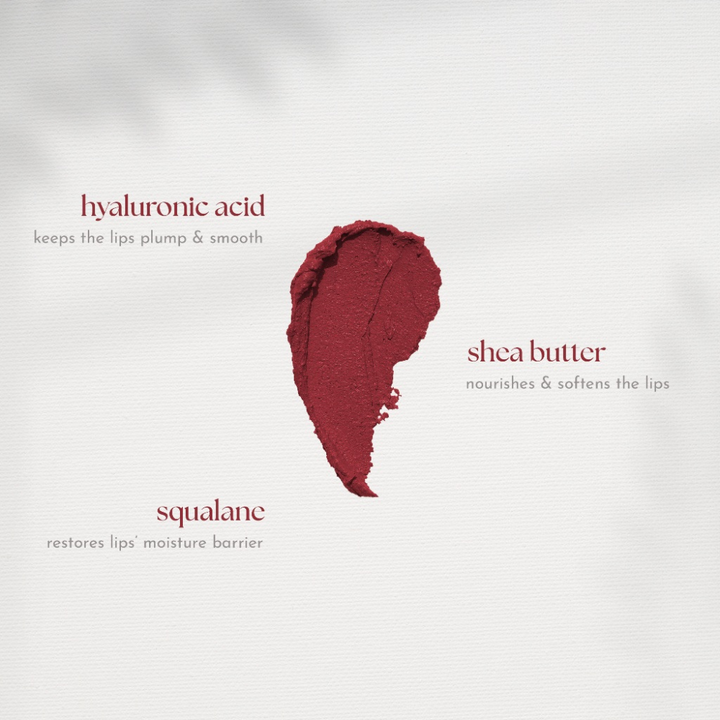 Absidy Beauty Cashmere Kiss Matte Lipstick Heart Evangelista Swatches Lips Arm Swatches Orchid