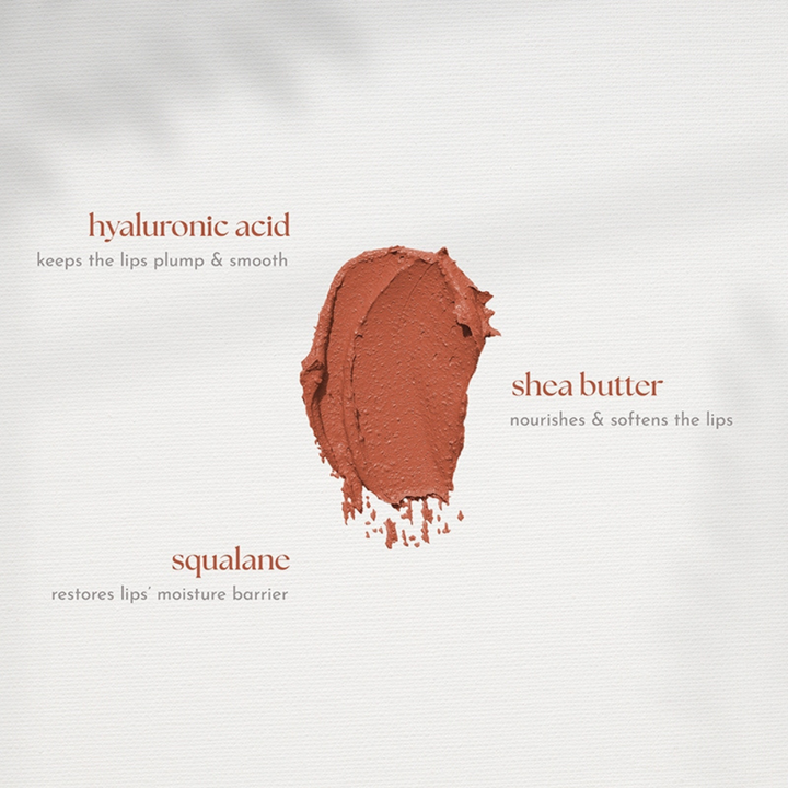 Absidy Beauty Cashmere Kiss Matte Lipstick Heart Evangelista Swatches Lips Arm Swatches Pumpkin spice