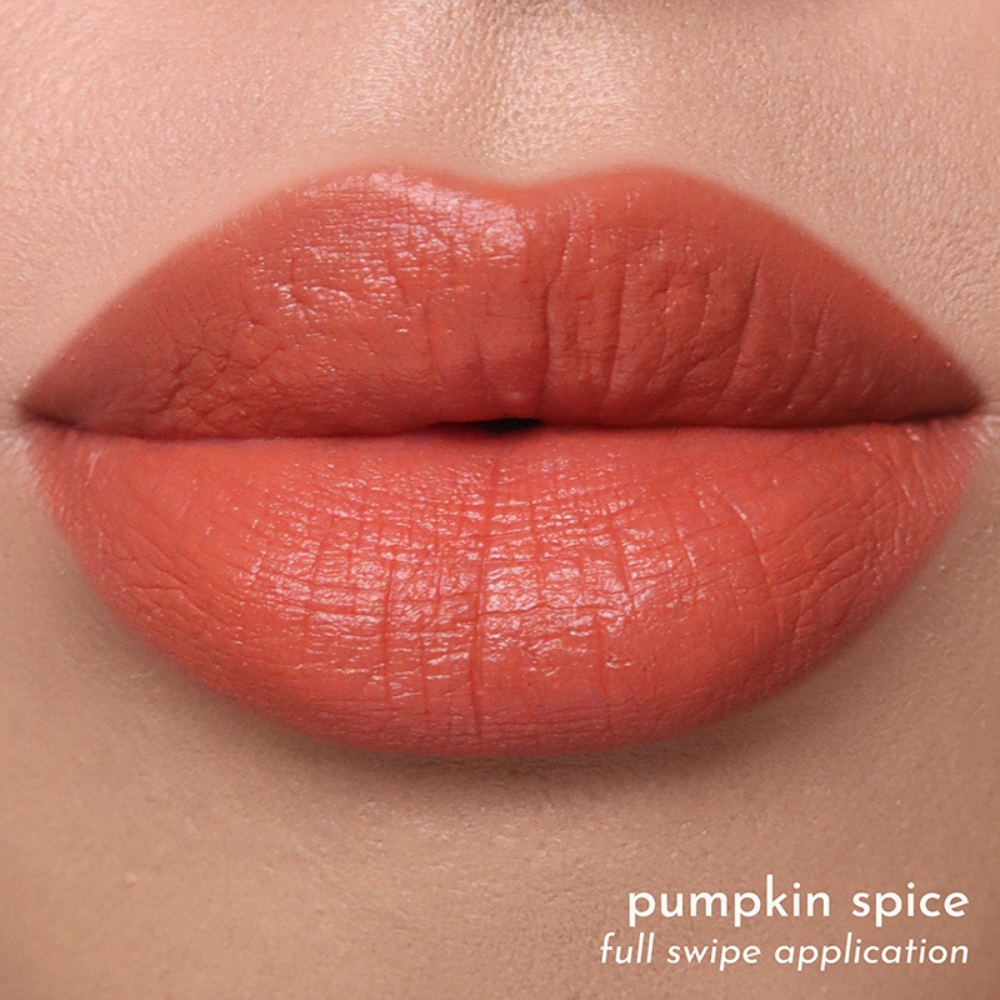 Absidy Beauty Cashmere Kiss Matte Lipstick Heart Evangelista Swatches Lips Arm Swatches Pumpkin spice