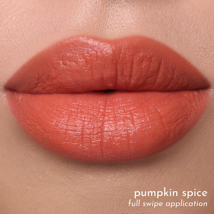 Absidy Beauty Cashmere Kiss Matte Lipstick Heart Evangelista Swatches Lips Arm Swatches Pumpkin spice