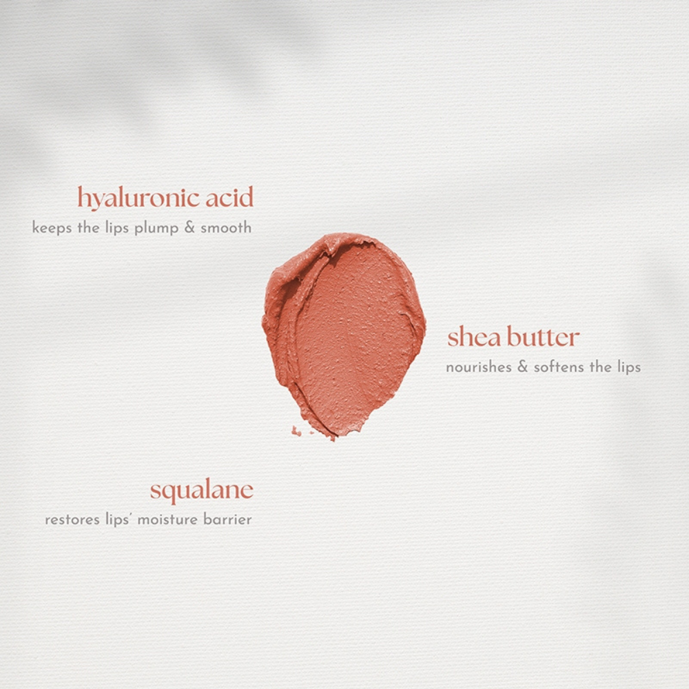 Absidy Beauty Cashmere Kiss Matte Lipstick Heart Evangelista Swatches Lips Arm Swatches Spanish Latte 