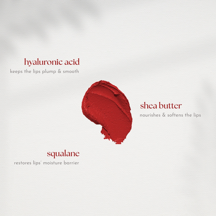 Absidy Beauty Cashmere Kiss Matte Lipstick Heart Evangelista Swatches Lips Arm Swatches Vintage Scarlet