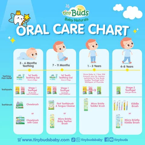 Tiny Buds Toddler Training Toothpaste Tutti Frutti