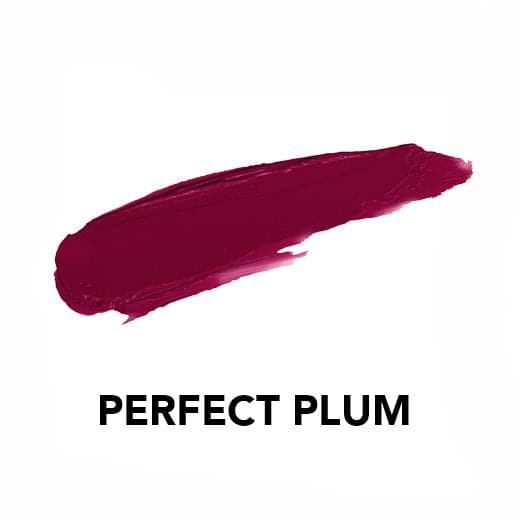 Vice Cosmetics BT21 Phenomenal Velvet Single - Perfect Plum swatch