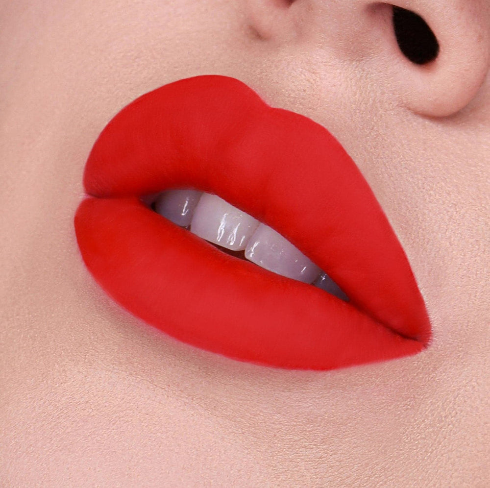 Vice Cosmetics Phenomenal Velvet Liquid Lip Kit - Getlavu model