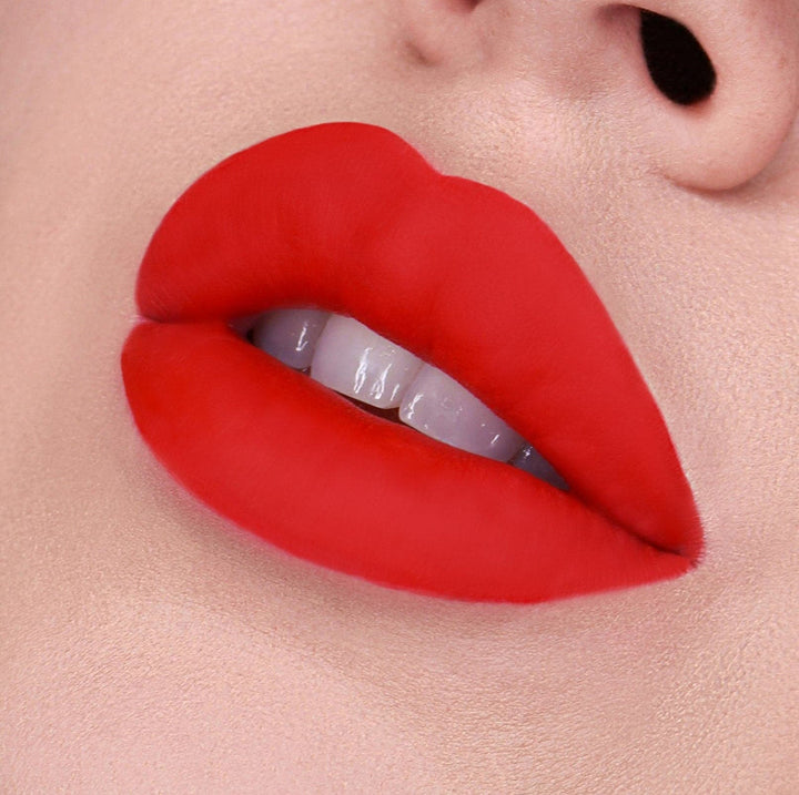 Vice Cosmetics Phenomenal Velvet Liquid Lip Kit - Getlavu model