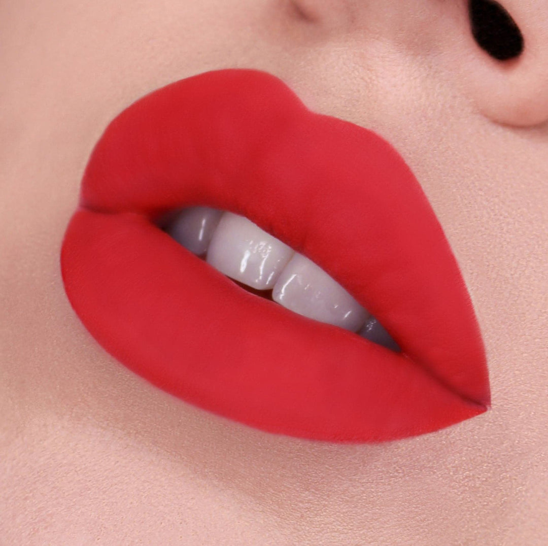 Vice Cosmetics Phenomenal Velvet Liquid Lip Kit - Givlavu model